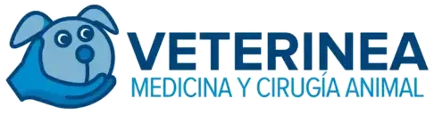 Logo Veterinea