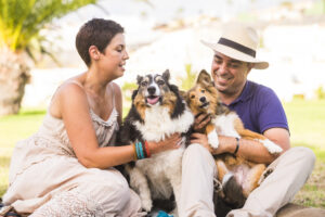 Artículo cuida a tu mascota